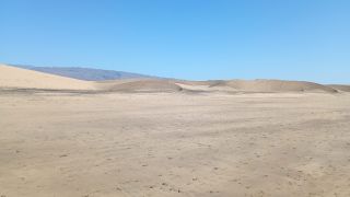 GC-Playa de Maspalomas 2026-095.jpg